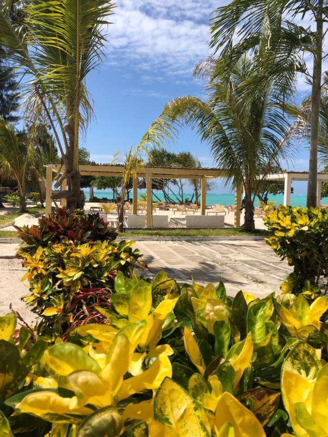 Jambo Beach Hotel Paje Exterior photo
